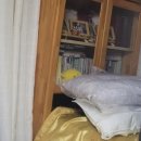 윤산로 | 당신의 슬픔 속 짐, 가온종합철거가 덜어드립니다, 믿고 맡기는 유품 정리 전문가, 가온종합철거