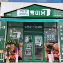 세븐일레븐 나주한전사거리점 | 나주혁신도시 천원빵집 빵이당 오픈런 상세 후기