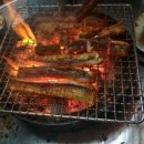 참곰장어 이미지