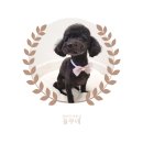 쥬비미용실 이미지