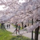 경포저류지 이미지