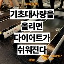 프로틴짐PT 서울대입구점 | 기초대사량을 올려야 하는 이유. 서울대입구 헬스장 프로틴짐