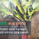 바른치킨공덕