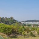 느티나무길>금강공원길 이미지