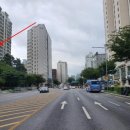 강남-202 이미지