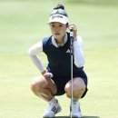 그레이스 이미지