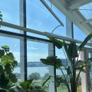 용산-이촌-496 | 용산맛집 노들섬 브런치맛집 어반플랜트 한강대교점