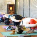 하타요가 이미지