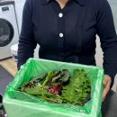 합정세탁소 | 연말엔 항상 들뜬 상태가 돼…