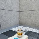 라라빈 이미지