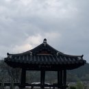 인삼랜드(상)휴게소 이미지