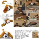 웃는강아지 이미지