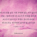 ➕ 잠언 12:1 – 12:6 훈계와 지식을 배우고 성실과 인내로 사는 삶 이미지