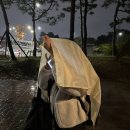 엔(N)노래연습장 | 엔플라잉(N.Flying)_2025 서울뮤직페스티벌(SMF)