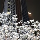 다산자이아이비공인중개사사무소 이미지