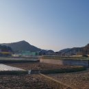 송학강변로_2 이미지