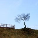 당포성 화장실 이미지