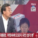 이정현 의원 " 박근혜 대통령 머릿속에 오로지 국가와 국민 생각뿐입니다." 이미지