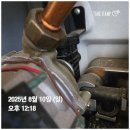 두나의 하루 네이버블로그