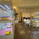 펫퍼스트 24시 강아지분양 고양이분양 파주운정점 이미지