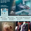 인식수산