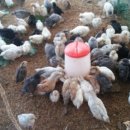 바람골농장 이미지