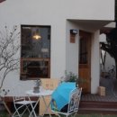 제주애견학교 이미지