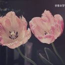 상봉요양원요양센터 | 쾌적한 추천 중랑구 요양원 상봉요양원요양센터 중랑구 최고의 요양원