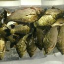 추억속의 이야기 이미지