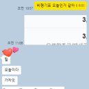 주식회사 허니문국제결혼 | W. 13-2 몰디브 리조트 최종 결정 + 비행기표 예매완료! (Pick. 허니문 리조트)