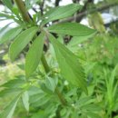 고원관광휴게소 이미지