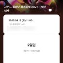 매미 플레닛 | 250913-14 사운드플래닛 페스티벌 사플페 2일 후기