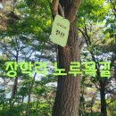 장학리노루목길(봄내길 8코스) 이미지