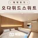 오다위드스위트 이미지