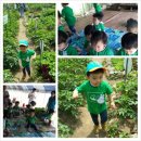 윤우농장 이미지