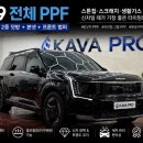 남양환경 - 안성시 | 화성 ppf 전문업체 ev9전체 ppf 만족한 남양 ppf 후기