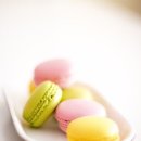 마카롱 이미지