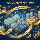 주식회사창출부동산중개법인 | 농업회사법인 정책자금 60억 조달 전략, 부결되는 재무 구조와 해결 방법
