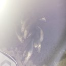 고금8호 이미지