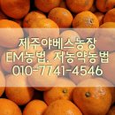 정의선농장 이미지