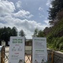 숲으로 떠나는 힐링 여행 | 강원도 여행 > 엄마랑 떠나기 좋은 인제 자작나무 숲으로 떠나는 힐링 여행(feat.등산 효도여행)