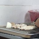 힘센 민물장어 | 힘센장어 직산점 회식 후기 🐟 소금구이 + 양념구이 참숯직화구이 가성비 후기