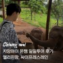 더엘리커피 | 치앙마이 몬쨈투어 후기 | 코끼리카페 엘리핀팜, 싸이프레스레인(일정, 가격, 할인쿠폰 등)