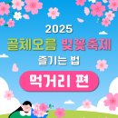 [2025 골체오름 벚꽃축제] 즐기는 법! 3/29(토)~30(일) 선흘2리 골체오름 이미지