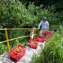 찬우농장 이미지