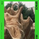 ㈜우드사이로 이미지