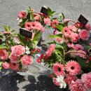 법원로3길 23 이미지