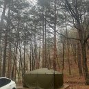 해발 700m 백두대간 산림욕과 산책로가 공존하는 강릉 힐링 캠핑장