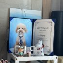 배곧초록유치원 | #2월일상 (근데 연휴를 포함한)