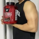 컴벳다이어트짐 | [헬짱 pick] 프로틴 뭐 살까? 신타6 구매후기 및 헬스러별 프로틴 비교 (+ 신타6 최저가 구매 꿀팁)